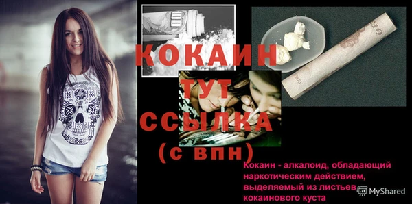 прущий лед Алексин